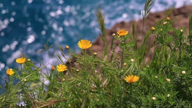 Сеанс-очистка ауры молитвами.100% исцеление, мгновенное избавление от стресса. смотреть онлайн