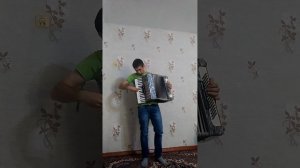 Гимн России на аккордеоне