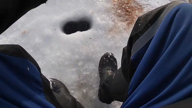 Не рыбалка,а болталка)Зимняя рыбалка в Финляндии.Прибежала собака.Рыбалка на жерлицы.Рыбалка 2021. смотреть онлайн