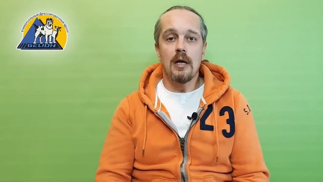 Это важно знать каждому собачнику! Три периода социализации! смотреть онлайн