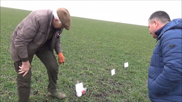 Весенняя подкормка озимой пшеницы. Часть IV. Март 2021 смотреть онлайн