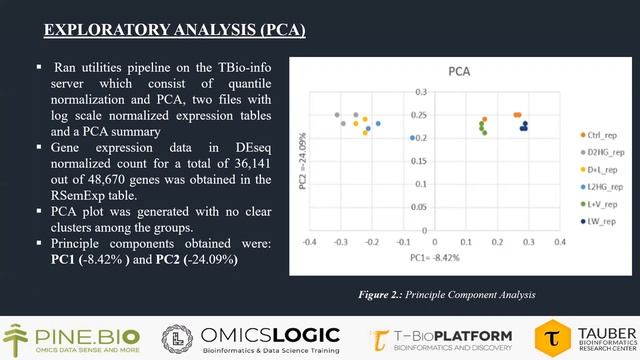 Exploring tumor protection activity of Vitamin C in breast cancer cells - By Akanksha Singh, Amity смотреть онлайн