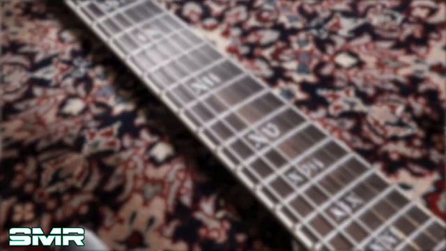 2019 SCHECTER C-1 SLS ELITE EVIL TWIN GUITAR DEMO смотреть онлайн