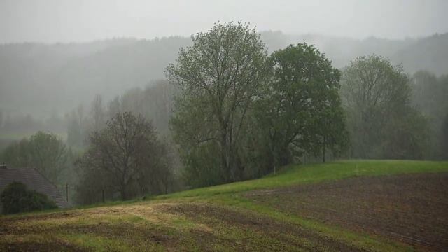 FENÓMENO DEL NIÑO gran amenaza смотреть онлайн