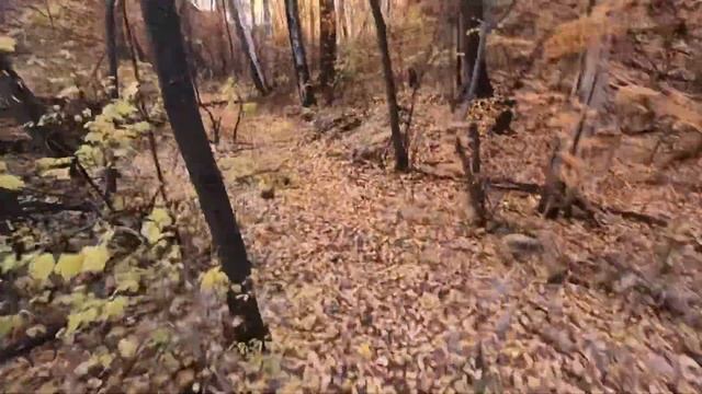 Тюмень. Эндуро. Овраг КЛК смотреть онлайн