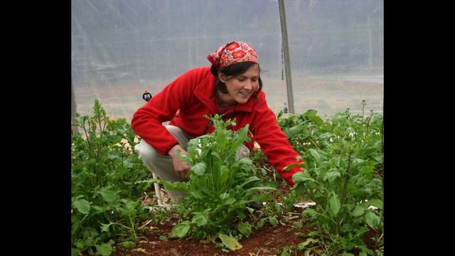 Four Season Gardening смотреть онлайн