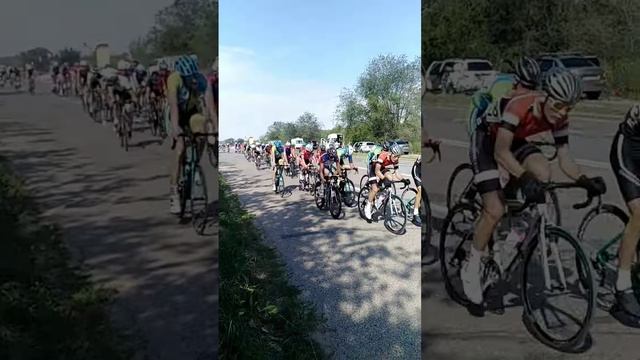 #велосипед #рекомендации #шоссе #велоспорт #nef #сшортс смотреть онлайн