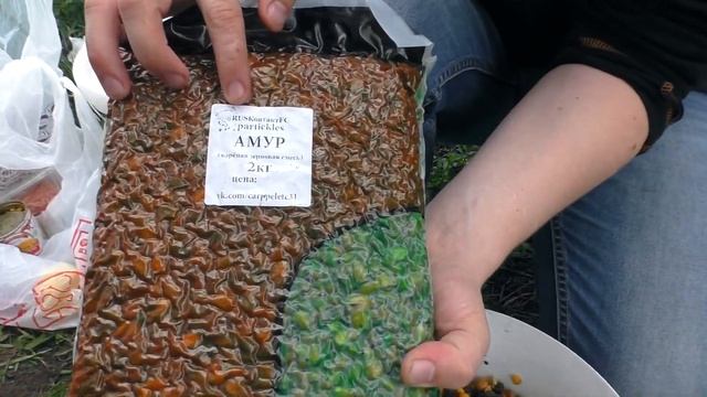 КУРЧАТОВ - в поисках АМУРА ! смотреть онлайн