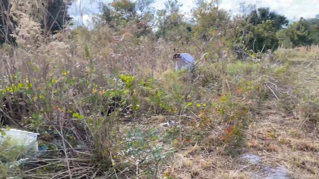 Clearing a Overgrown Property (How to Clear a Overgrown Yard TimeLapse) смотреть онлайн