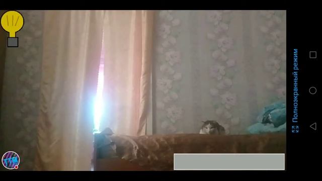 Комне пришёл ежик в "Пять Ночей У Ёжика". смотреть онлайн