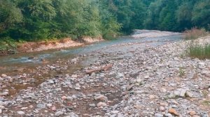 Пеший поход на Большой Тхач. НЕДЕЛЯ В ГОРАХ вдвоём (и собачка) #1 #походвгоры #походссобакой