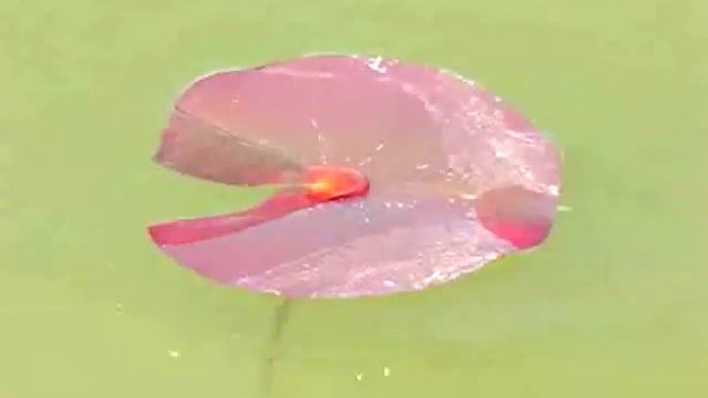 After Thought : Sandeep Nair.m4v смотреть онлайн