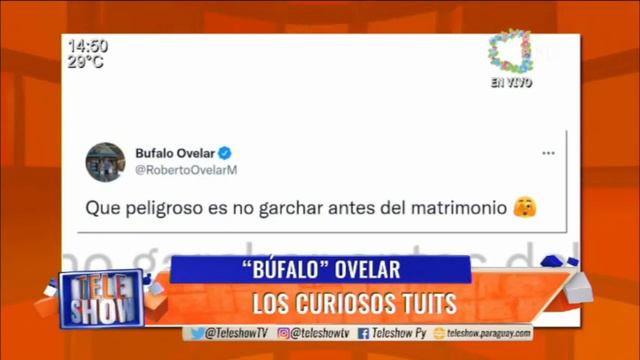 "Búfalo" Ovelar, los curiosos tuits.#TeleShow смотреть онлайн