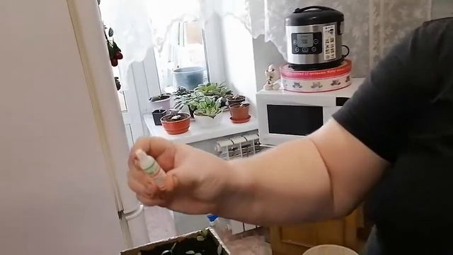 Пикировка перца сладкого и горького ! смотреть онлайн