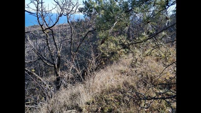 Продам участок под ИЖС 6 соток г.Алушта, п.Семидворье смотреть онлайн