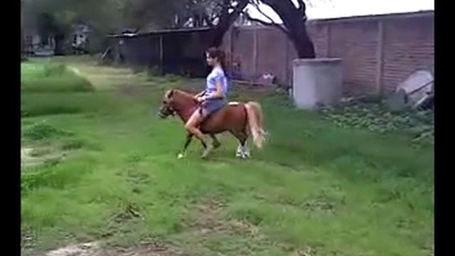Beautiful Rider on Pony смотреть онлайн