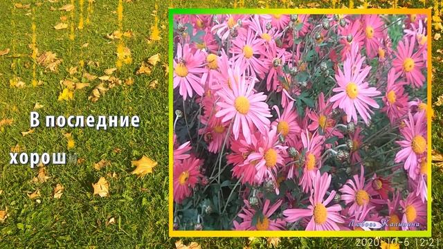 Осенние цветы смотреть онлайн