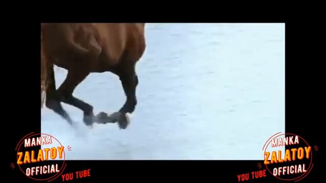 Толя Баленгиро - Не могу мэ - больше жить - 2022new смотреть онлайн