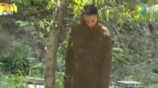 Вот это жест ! Житель Китая все свое тело закрылся с пчелы تمامى بدنسرا با غمبر ٱسل پشانىد смотреть онлайн