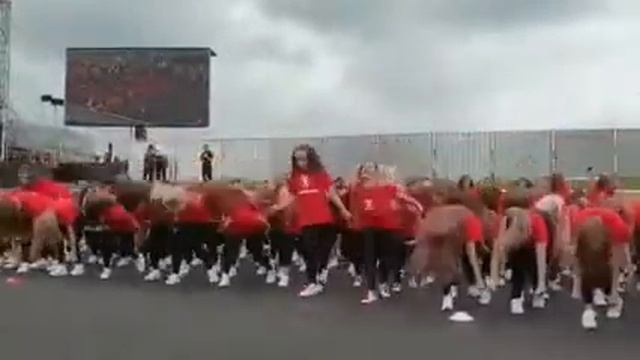 F1 Grand Prix Silverstone performance with Pro-Excel смотреть онлайн