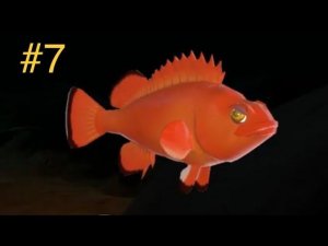 Я стал гигантским норвежским окунем в фид энд гроу фиш! Feed And Grow Fish