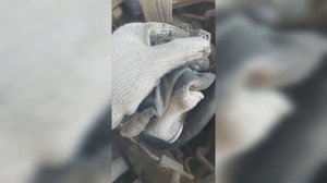 Замена натяжителя цепи Тойота камри 30