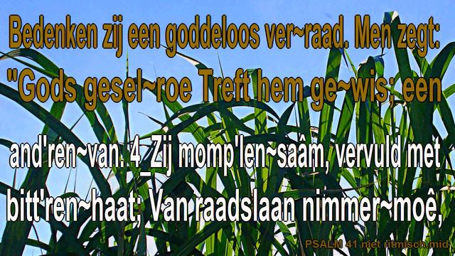 Psalm 41 niet ritmisch - Karaoke - Miditzer 216 смотреть онлайн