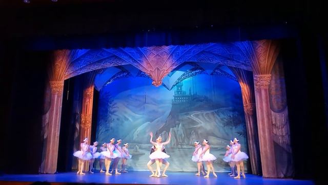 Bailarina De CantaCantaCatequista En El Ballet Del Lago De Los Cisnes. Bogotá, Colombia.