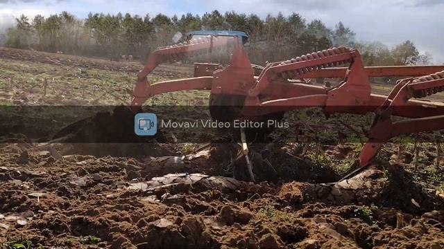 Orka 2021 przed kukurydzą Mtz 82 i Pronar 82A смотреть онлайн