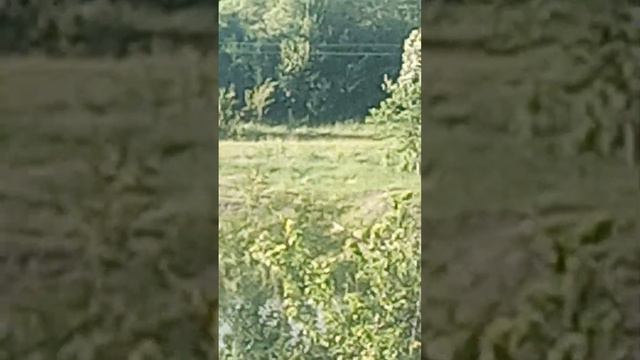 самое лучшее видео в мире смотреть онлайн