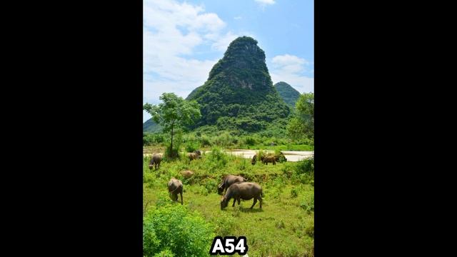 Samsung Galaxy F54 Vs Samsung Galaxy A54 Vs Samsung Galaxy M54 Camera Test смотреть онлайн