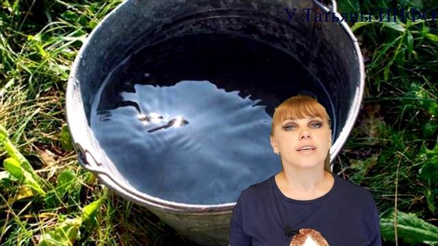 Защити свои ТОМАТЫ от ФИТОФТОРЫ! Чем опрыскать томаты от фитофторы в профилактических целях?! смотреть онлайн