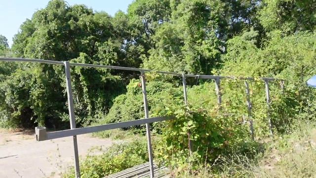 Отпуск. Кабардинка. Часть 1 смотреть онлайн