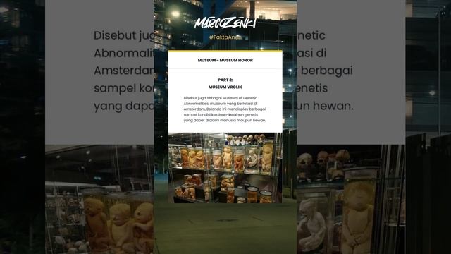 Fakta Aneh 8 : Museum Vrolik #shorts #fakta #faktaunik #anehtapinyata #horor смотреть онлайн