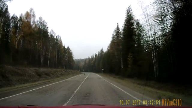 Лиса охотится на зайца смотреть онлайн