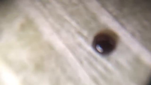 КАК ПРАВИЛЬНО НАБИРАТЬ КАПЛЮ КЛЕЯ НА ПУЧОК .НАРАЩИВАНИЕ РЕСНИЦ смотреть онлайн