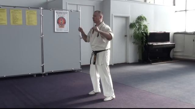 Фу Ан Чжуан (Fu An Zhuang) - Ицюань (Yiquan) смотреть онлайн