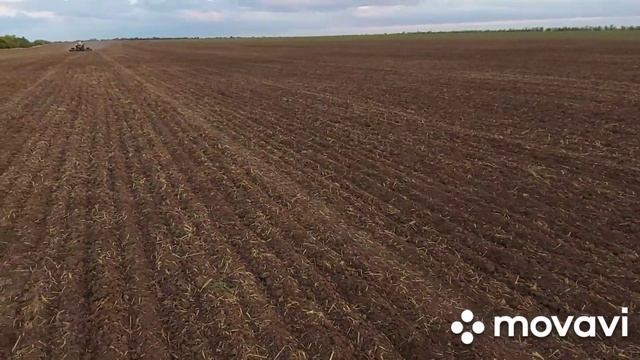 Посев ???озимой пшеницы Октава Одесская с нормой 2.5-2.7 млн/га 115 кг. Семена от @smartno-till711 смотреть онлайн