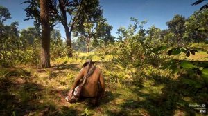 Red Dead Redemption 2 - Испытание Мастер-охотник 10 \ 10