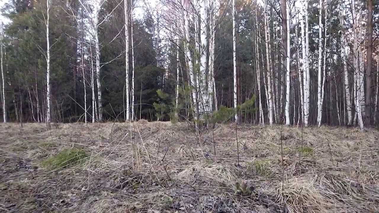 5 мая, открытие весенней охоты смотреть онлайн