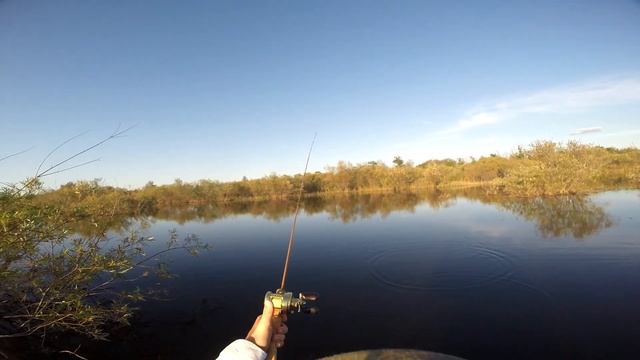 Закрытие ультралайт-сезона 2020 ч2. Бамбуха, Calcutta 50s Shallow Special, AMO spool, bamboo rod. смотреть онлайн