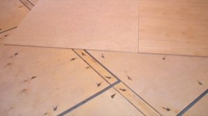 5 способов устранить скрип пола в квартире, не вскрывая его, как легко убрать скрип деревянного пол