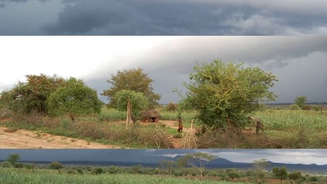 Пейзажи смотреть онлайн