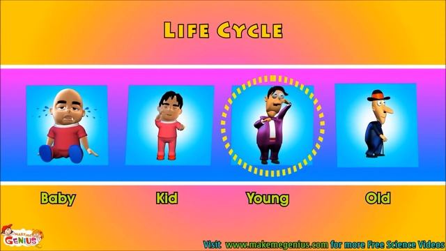 Humans Life Cycle Video for Kids - Science for Kids смотреть онлайн