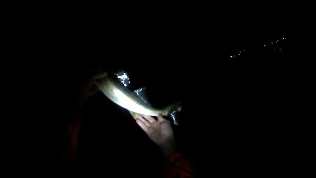 Lure Fishing #48 - Jerkbait and Berkley Gulp Jig Fishing for River Walleye смотреть онлайн