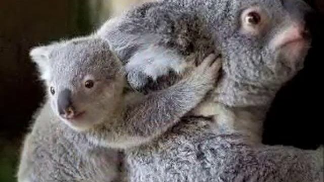 Мама первое слово смотреть онлайн