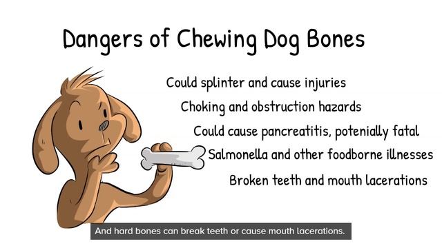 Dog Bone Video - Are Bones Safe for Dogs смотреть онлайн