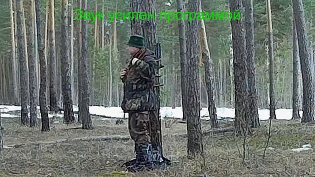 Обзор манков для проведения охоты по перу на сезон 2019 г смотреть онлайн