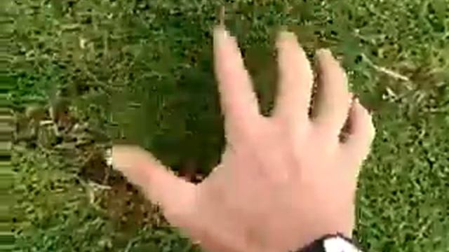 THE MOLE MAN !! смотреть онлайн