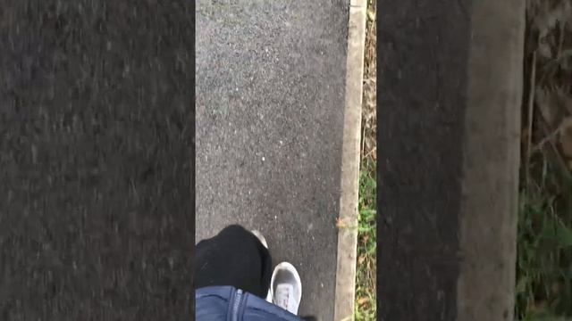 Осенние обострение | психолог пояснил о правде и силе духа | дух смотреть онлайн